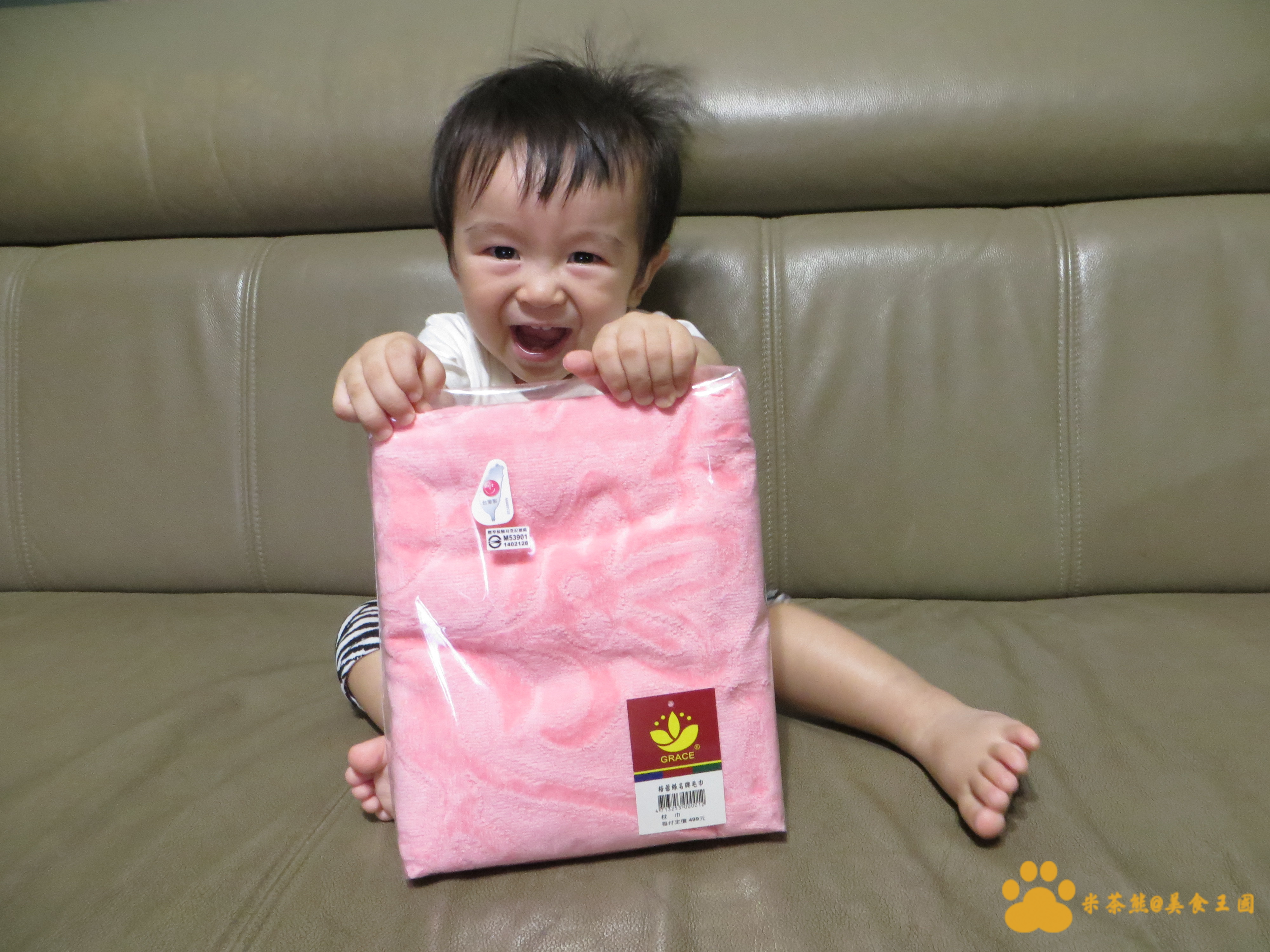 MIT好東西格蕾絲GRACE泓棨-230枕巾(2入)︱愛購物︱美食王國